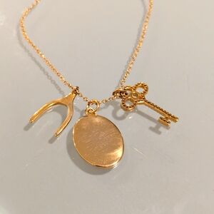 Colour Gold Necklace